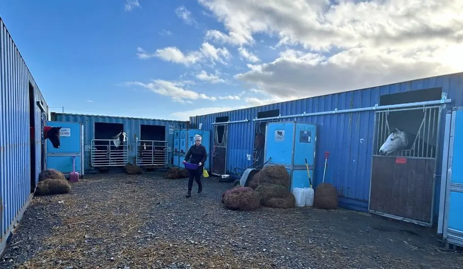 Peninsula Stable Minds - TITAN Impact_4